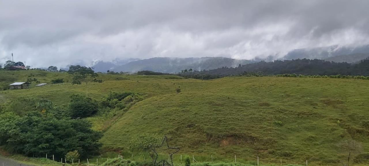 El Rincon De Las Flores Bajo Tigre Exteriér fotografie