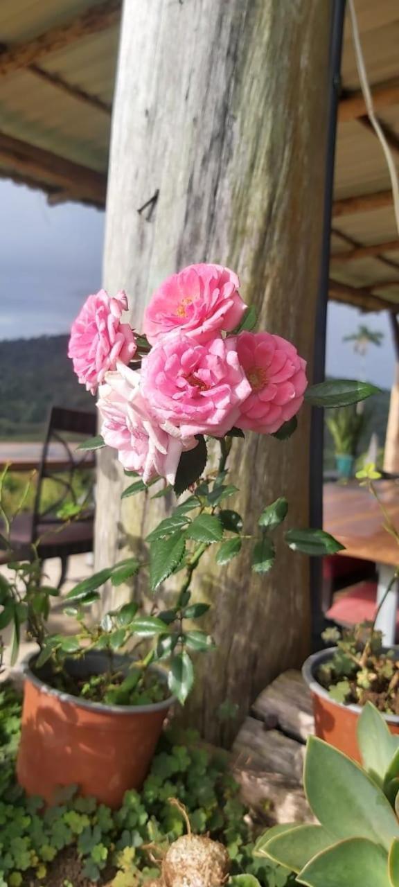 El Rincon De Las Flores Bajo Tigre Exteriér fotografie