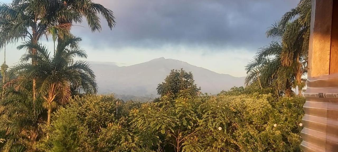 El Rincon De Las Flores Bajo Tigre Exteriér fotografie