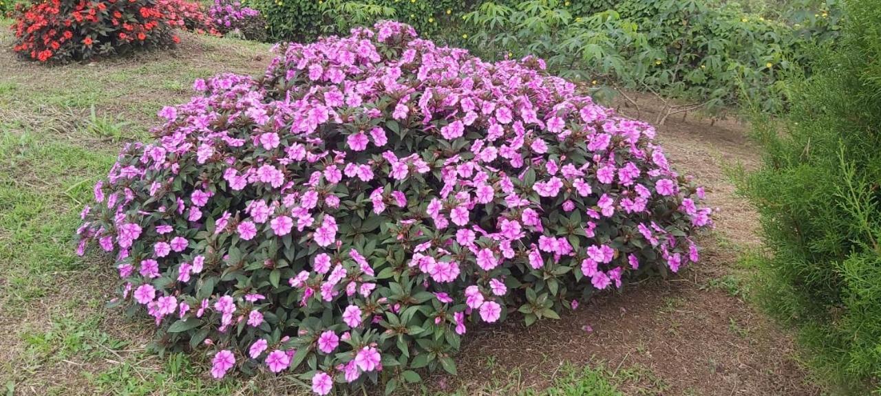 El Rincon De Las Flores Bajo Tigre Exteriér fotografie