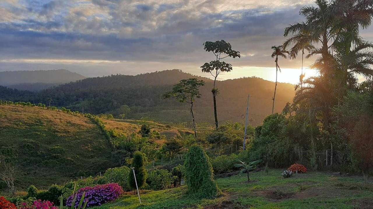 El Rincon De Las Flores Bajo Tigre Exteriér fotografie